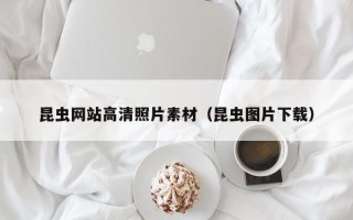 海拉尔昆虫网站高清照片素材（昆虫图片下载）